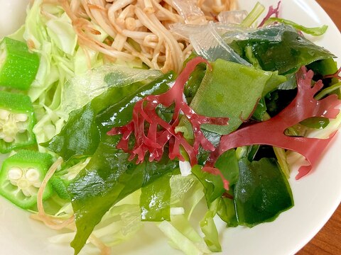 キャベツ、オクラ、えのきの海藻サラダ